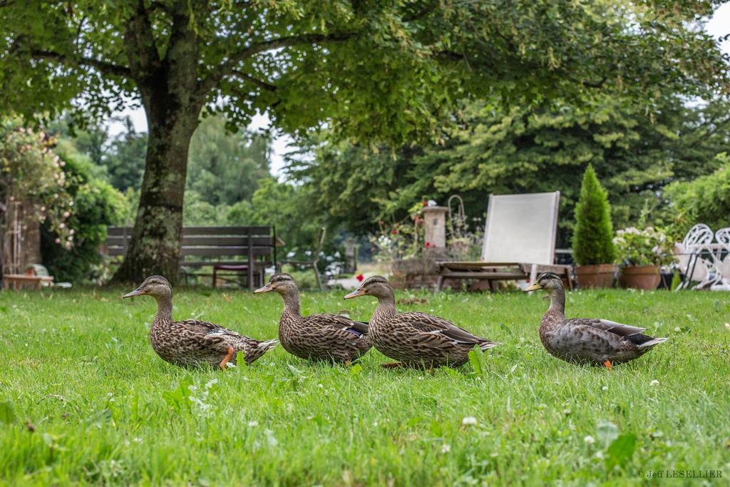 La Ferme De Marie Eugenie Acomodação com café da manhã Bruailles Exterior foto